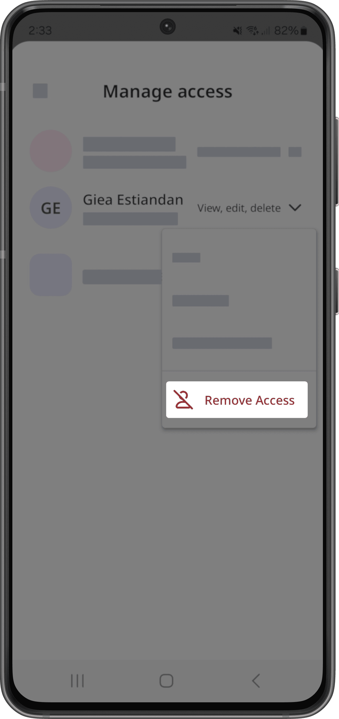 The "Manage access" screen with the "Remove Access" button visible.