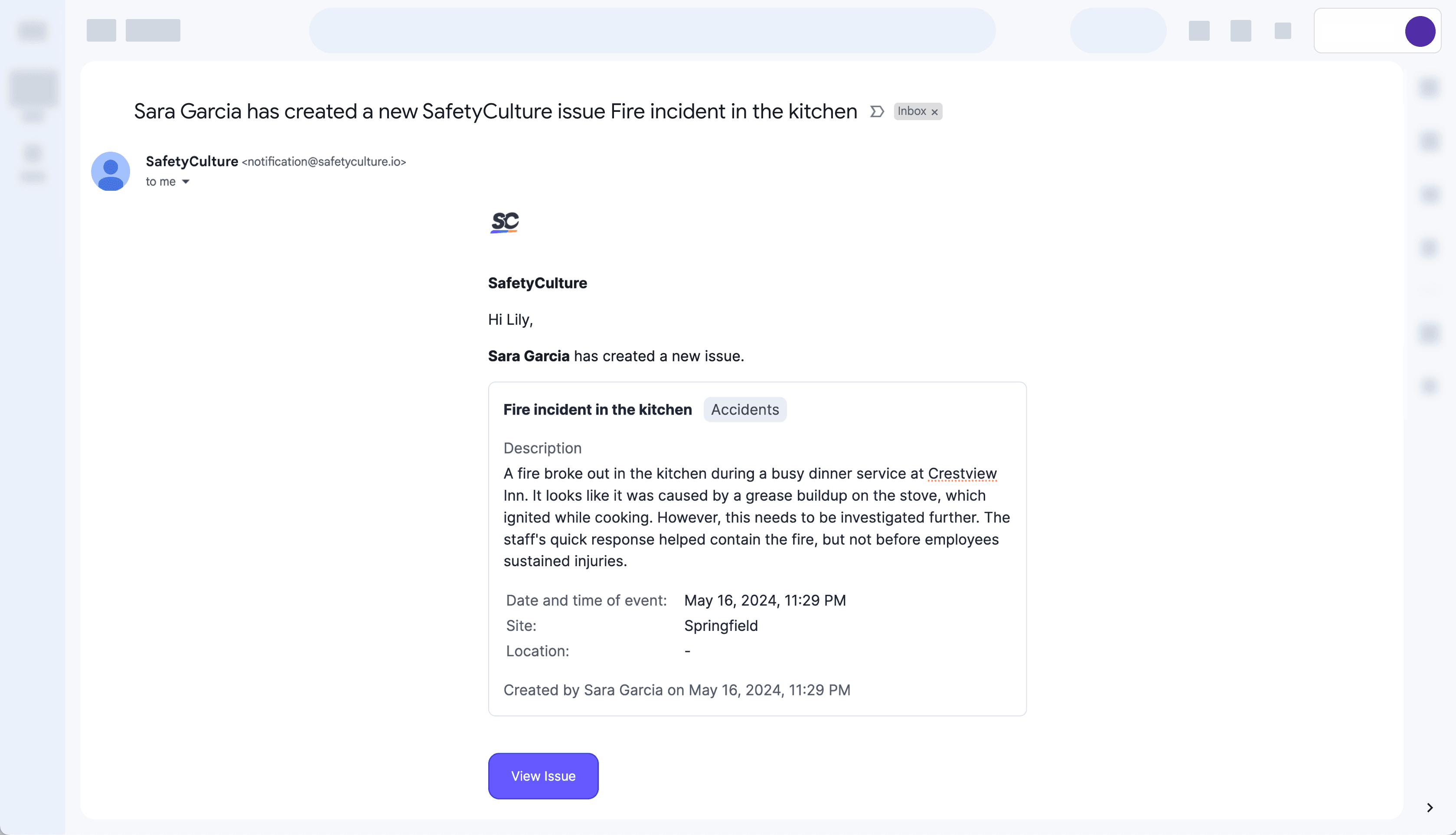 View Summary issue email notification sample.