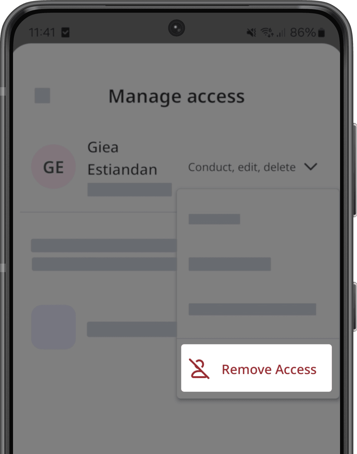 The "Manage access" screen with the "Remove Access" button visible.