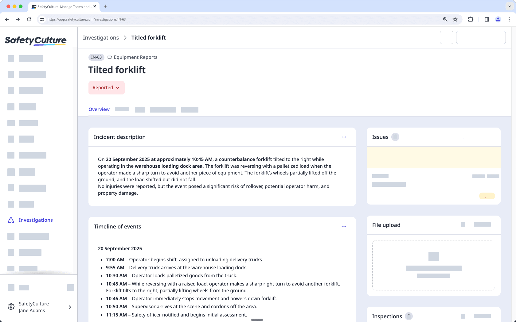 An example of custom sections in an investigation's Overview tab.