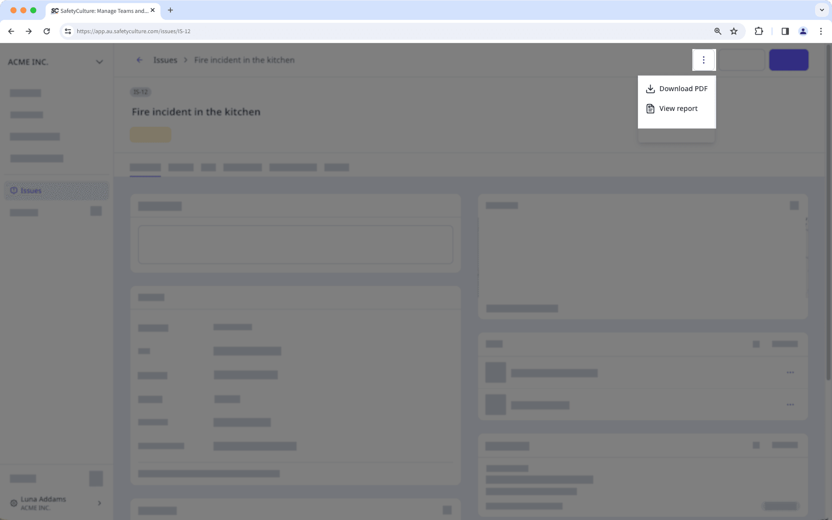 To download or view an issue report, click the three-dot menu, and select download or view.