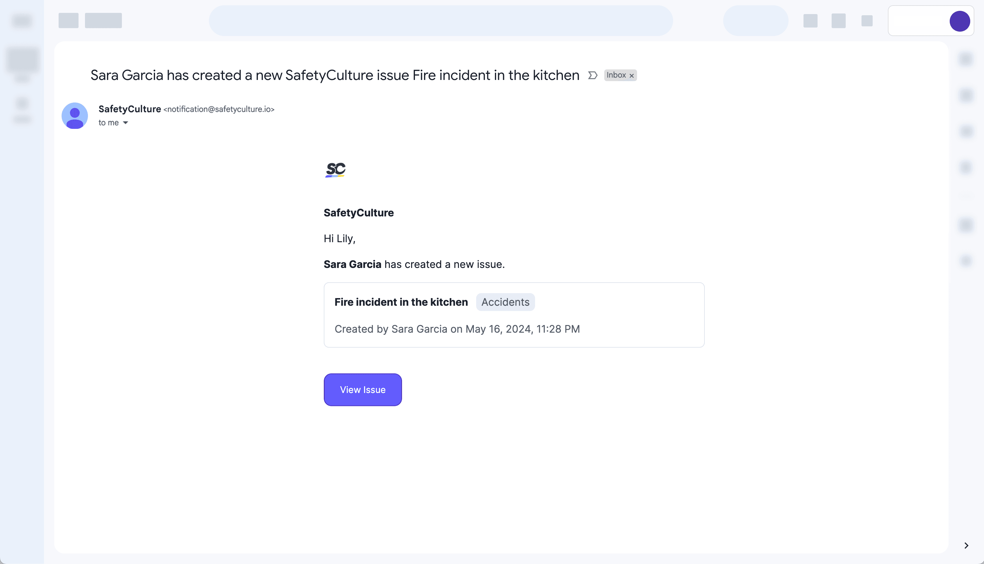 View Private (default) issue email notification sample via the web app.