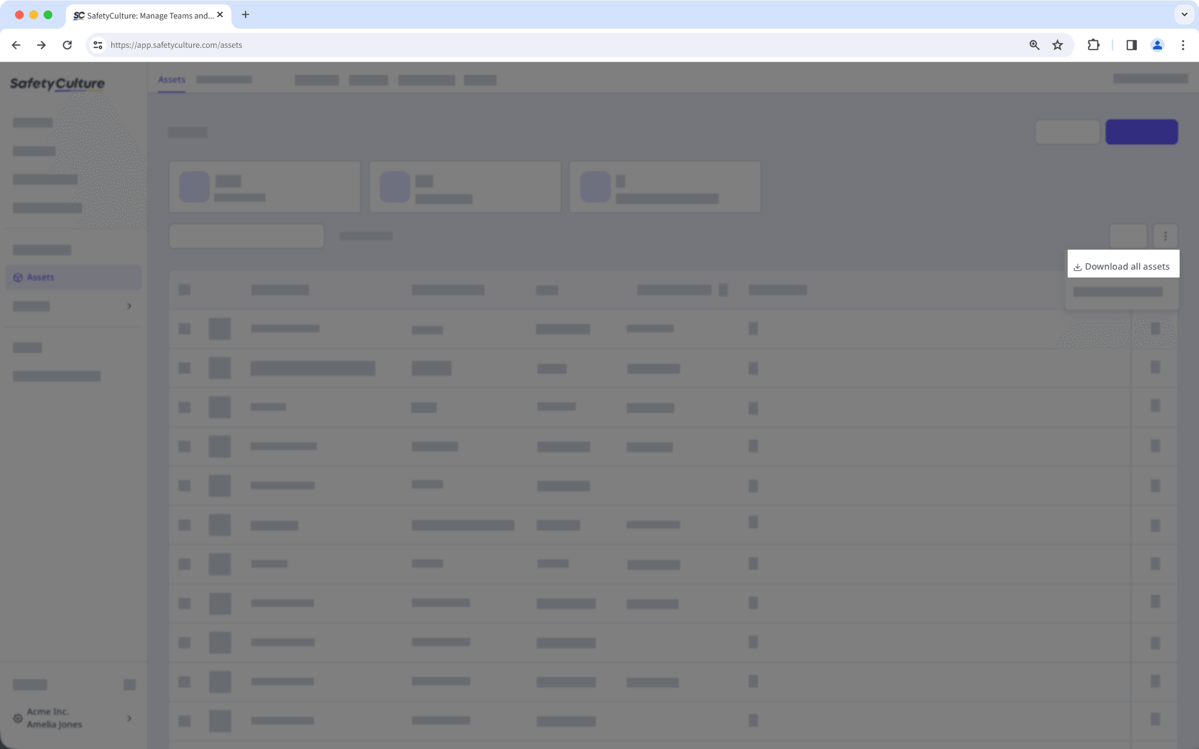 Assets page showing the option to download all assets as CSV.