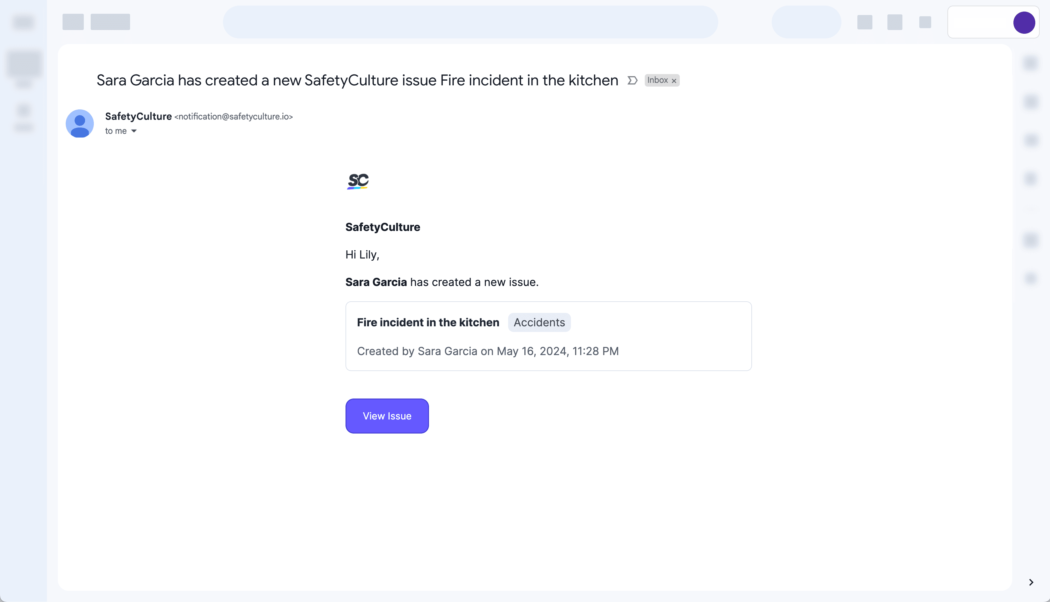 View Private (default) issue email notification sample via the web app.