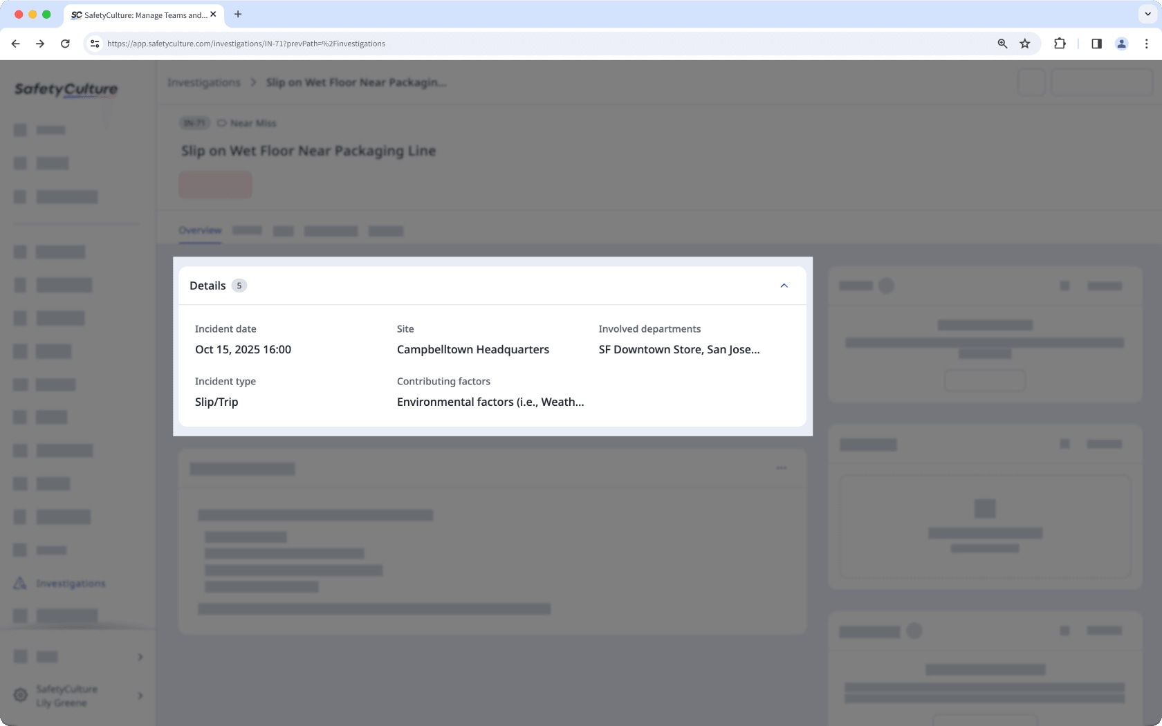 An example of detail fields in an investigation on the web app.